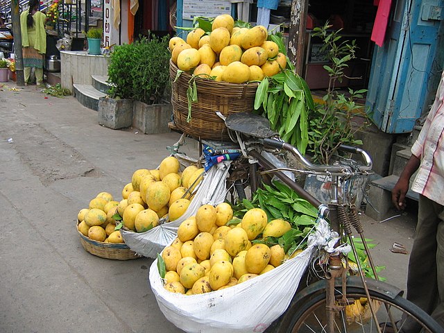 types of mangos in india in marathi best 10