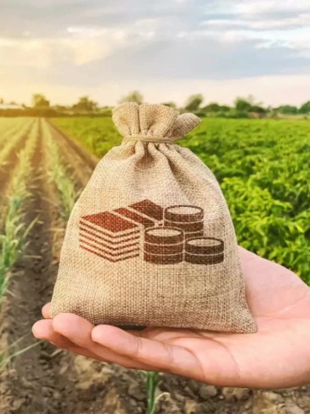 PM Kisan Yojana: Big update regarding the 14th instalment of PM Kisan, know when the money will come पीएम किसानच्या 14व्या हप्त्याबाबत मोठे अपडेट, जाणून घ्या पैसे कधी येतील